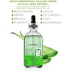 DR RASHEL ALOE VERA PRIMER SERUM DRL-1506